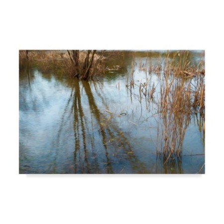 Anthony Paladino 'Down By The Swamp' Canvas Art,12x19